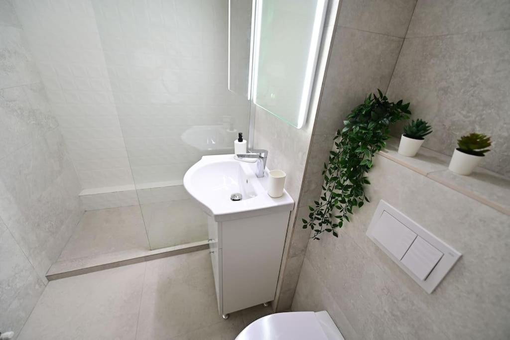 Flh - Apartament Damar Sibiu Exterior foto